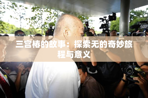 三宫椿的故事：探索无的奇妙旅程与意义