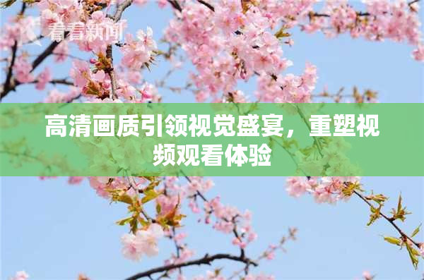 高清画质引领视觉盛宴，重塑视频观看体验