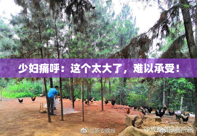 少妇痛呼：这个太大了，难以承受！