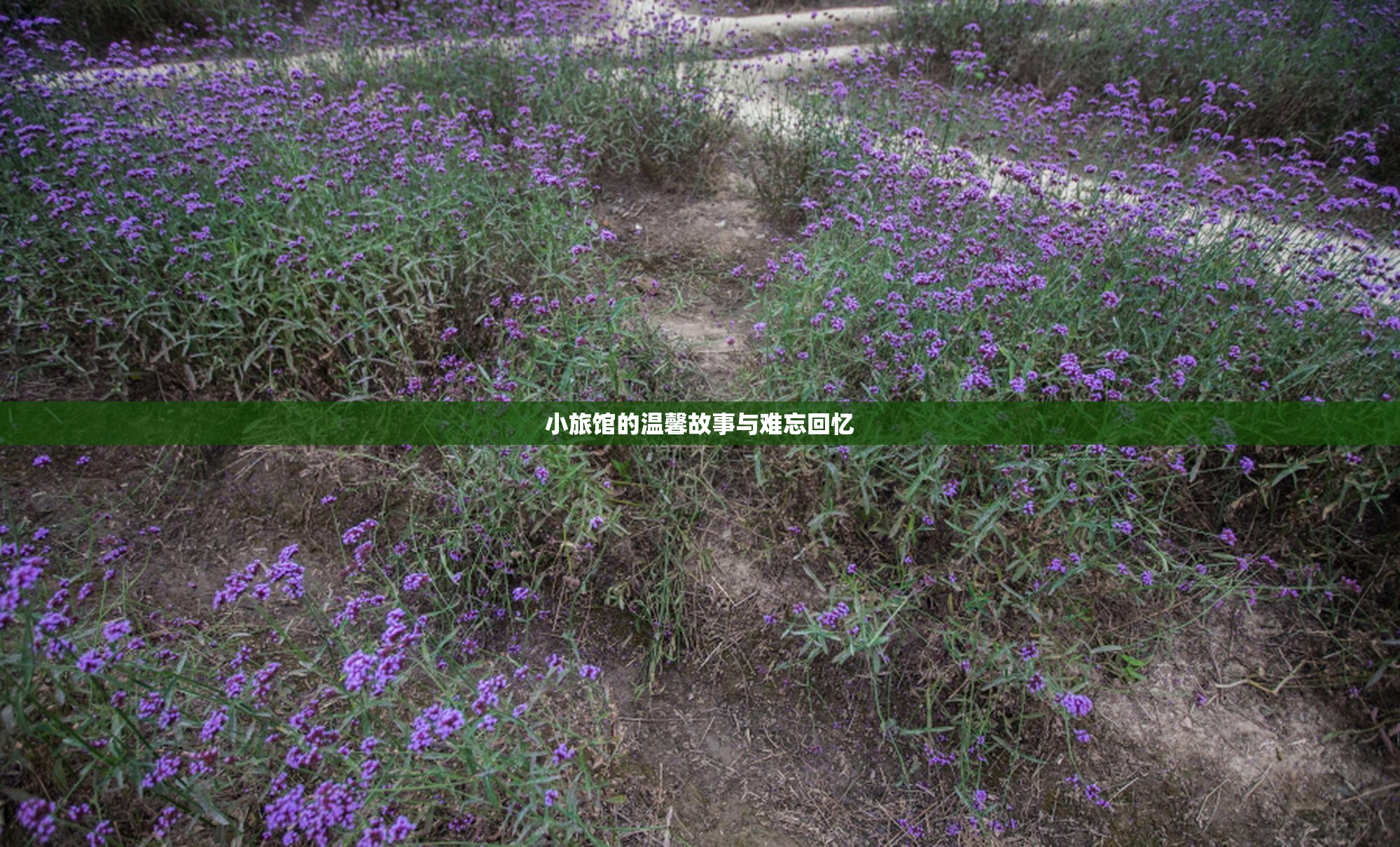 小旅馆的温馨故事与难忘回忆