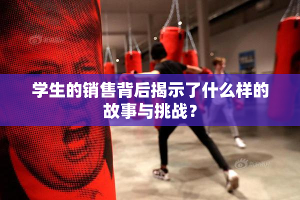 学生的销售背后揭示了什么样的故事与挑战？