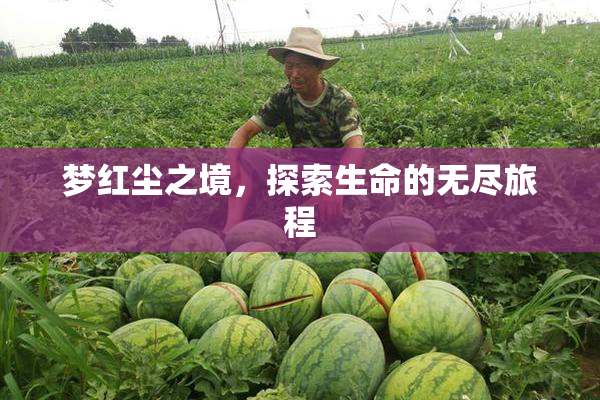 梦红尘之境，探索生命的无尽旅程