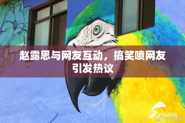 赵露思与网友互动，搞笑喷网友引发热议
