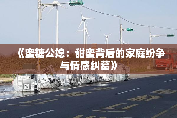 《蜜糖公媳：甜蜜背后的家庭纷争与情感纠葛》