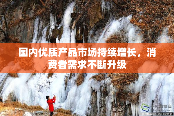 国内优质产品市场持续增长，消费者需求不断升级