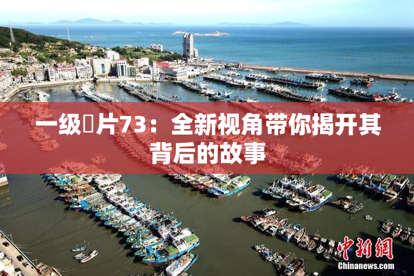 一级婬片73：全新视角带你揭开其背后的故事