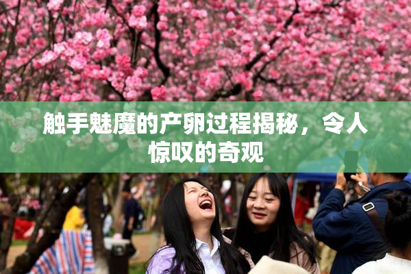 触手魅魔的产卵过程揭秘，令人惊叹的奇观
