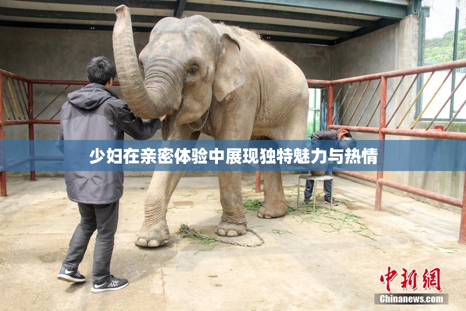 少妇在亲密体验中展现独特魅力与热情