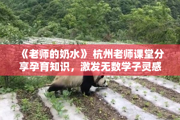 《老师的奶水》 杭州老师课堂分享孕育知识，激发无数学子灵感与思考