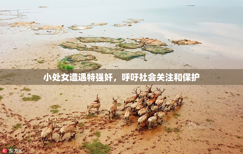 小处女遭遇特强奸，呼吁社会关注和保护