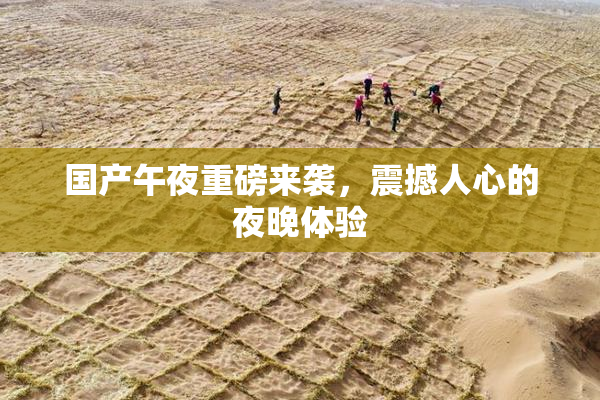 国产午夜重磅来袭，震撼人心的夜晚体验