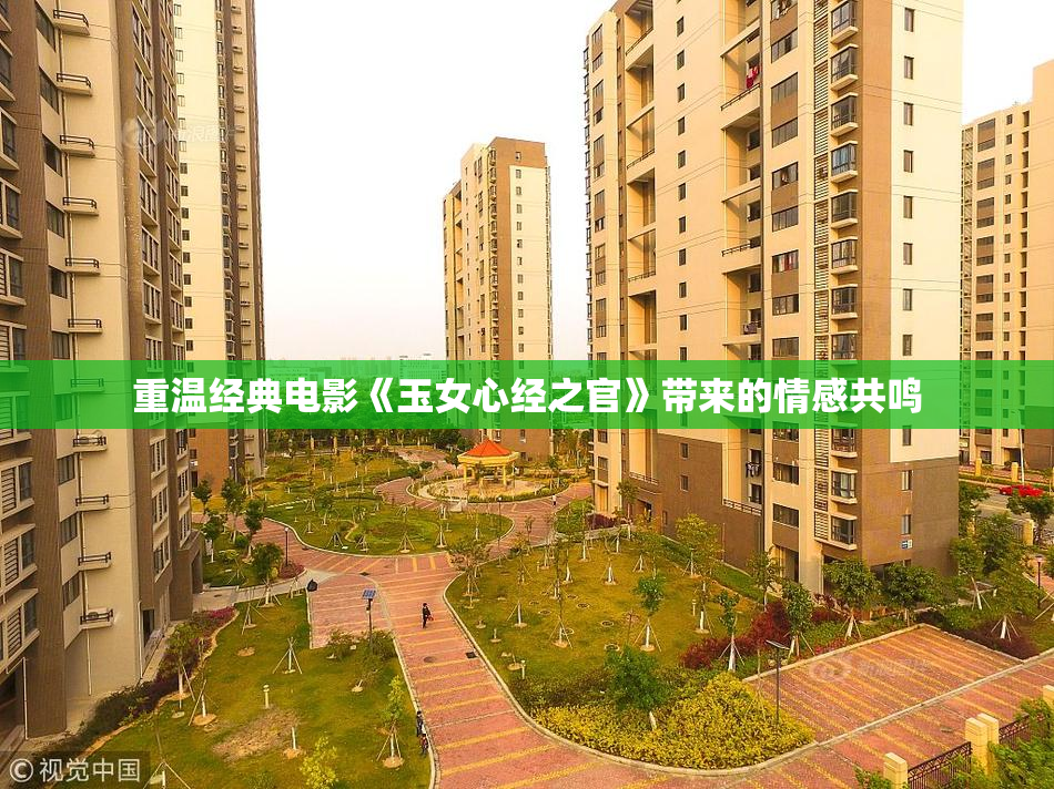 重温经典电影《玉女心经之官》带来的情感共鸣