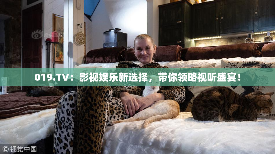 019.TV：影视娱乐新选择，带你领略视听盛宴！