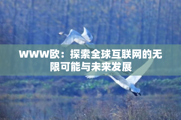 WWW欧：探索全球互联网的无限可能与未来发展