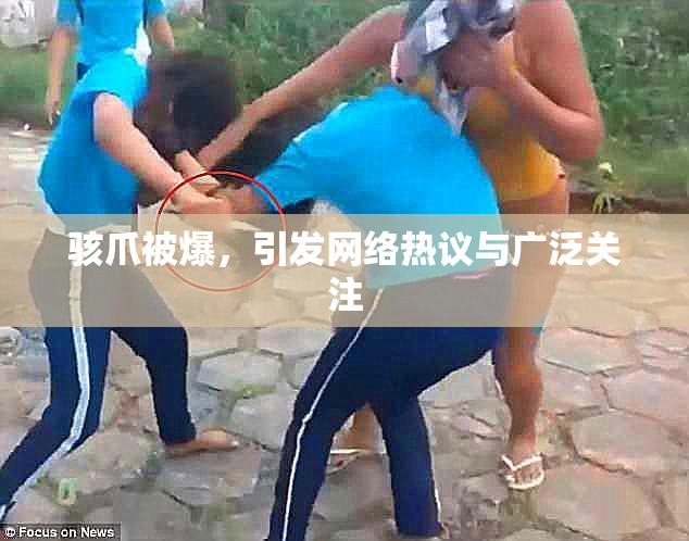 骇爪被爆，引发网络热议与广泛关注