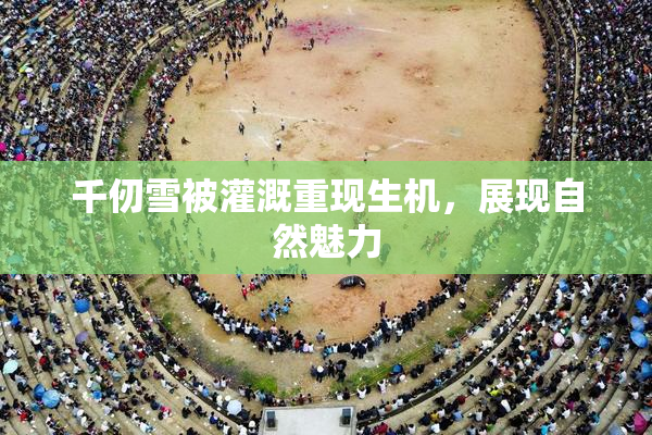 千仞雪被灌溉重现生机，展现自然魅力