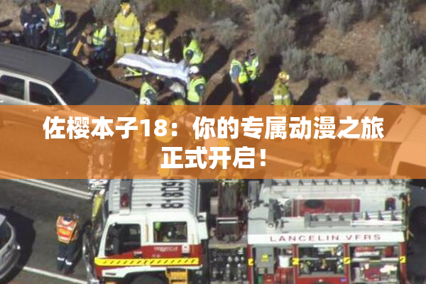 佐樱本子18：你的专属动漫之旅正式开启！