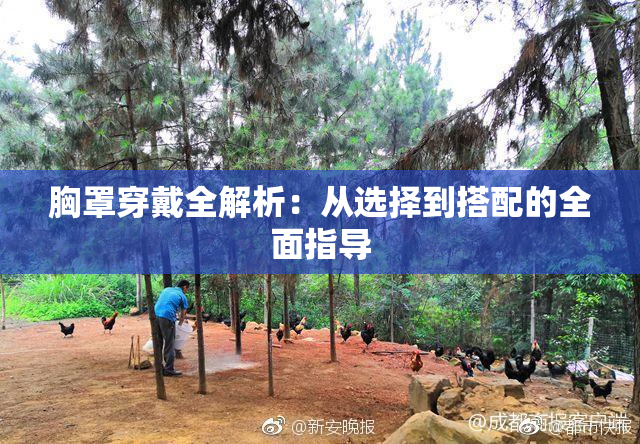 胸罩穿戴全解析：从选择到搭配的全面指导