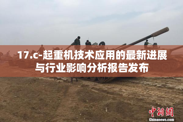 17.c-起重机技术应用的最新进展与行业影响分析报告发布