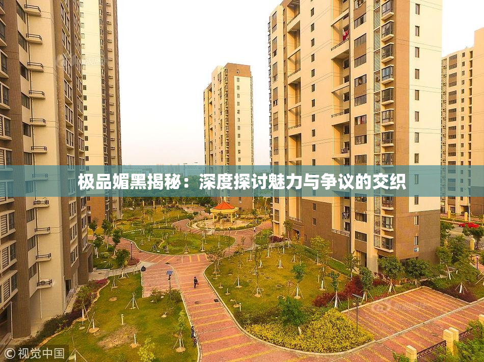 极品媚黑揭秘：深度探讨魅力与争议的交织