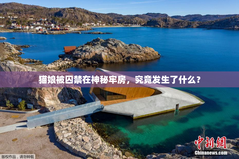 猫娘被囚禁在神秘牢房，究竟发生了什么？