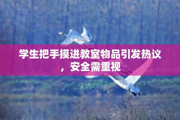 学生把手摸进教室物品引发热议，安全需重视