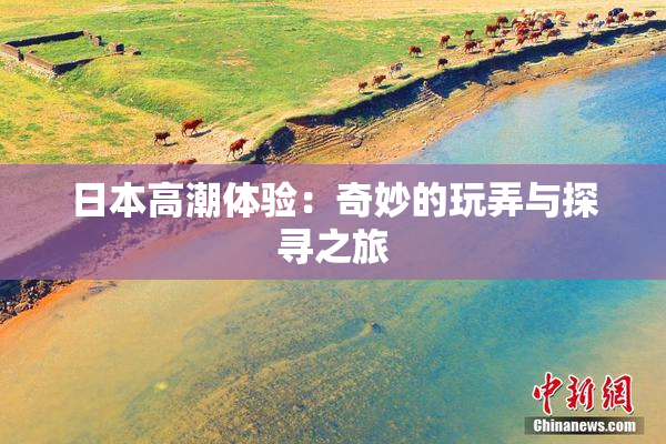 日本高潮体验：奇妙的玩弄与探寻之旅