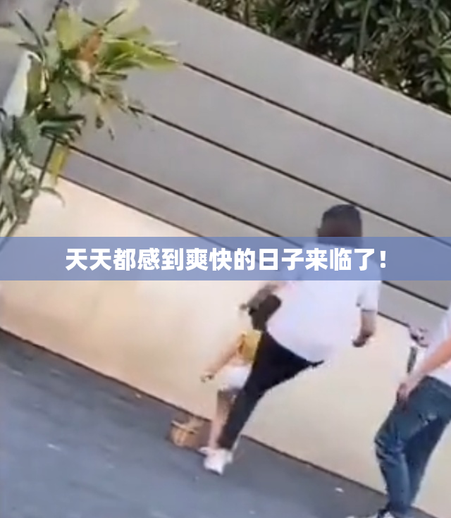 天天都感到爽快的日子来临了！