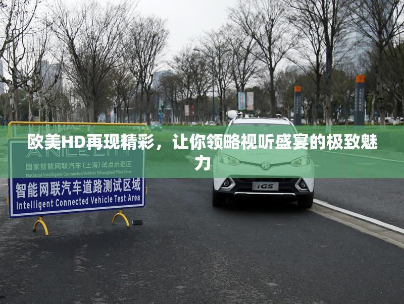 欧美HD再现精彩，让你领略视听盛宴的极致魅力