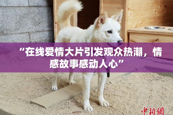 “在线爱情大片引发观众热潮，情感故事感动人心”