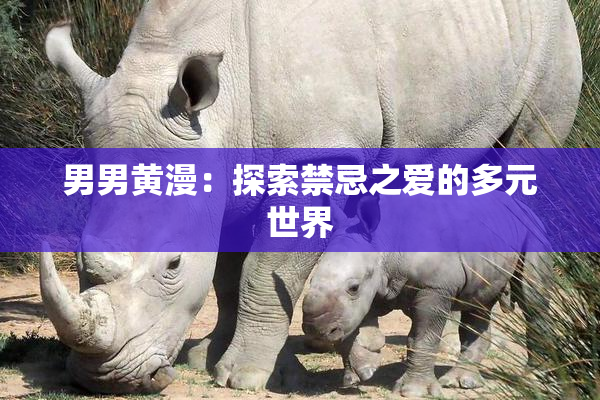 男男黄漫：探索禁忌之爱的多元世界