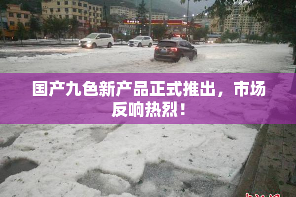 国产九色新产品正式推出，市场反响热烈！