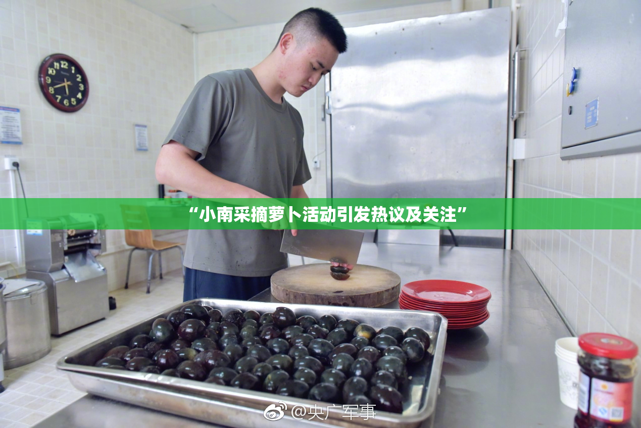 “小南采摘萝卜活动引发热议及关注”