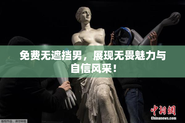 免费无遮挡男，展现无畏魅力与自信风采！
