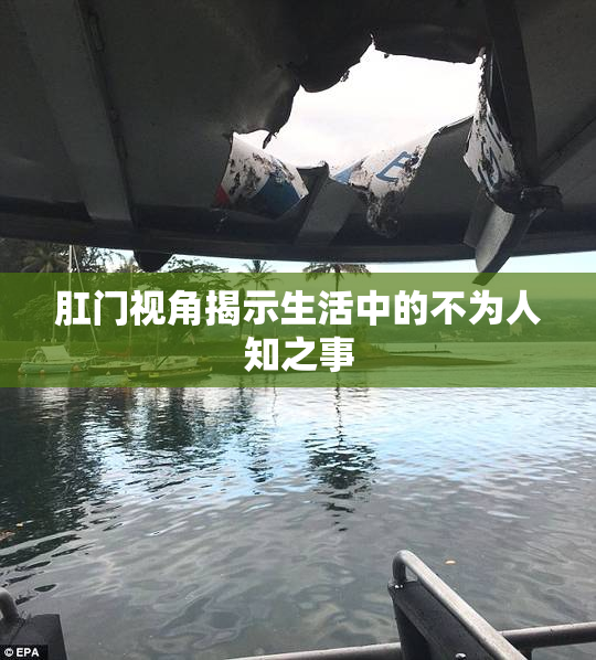 肛门视角揭示生活中的不为人知之事