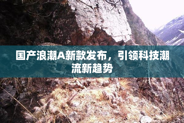 国产浪潮A新款发布，引领科技潮流新趋势