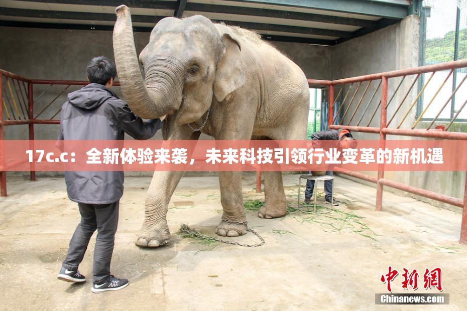 17c.c：全新体验来袭，未来科技引领行业变革的新机遇