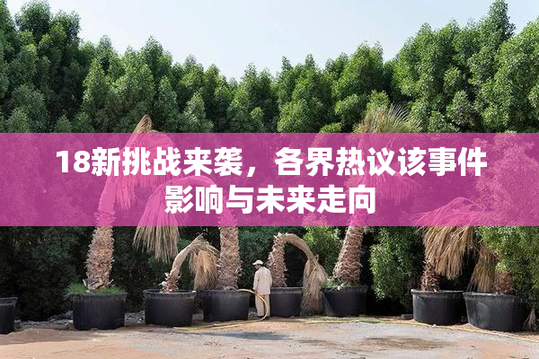 18新挑战来袭，各界热议该事件影响与未来走向