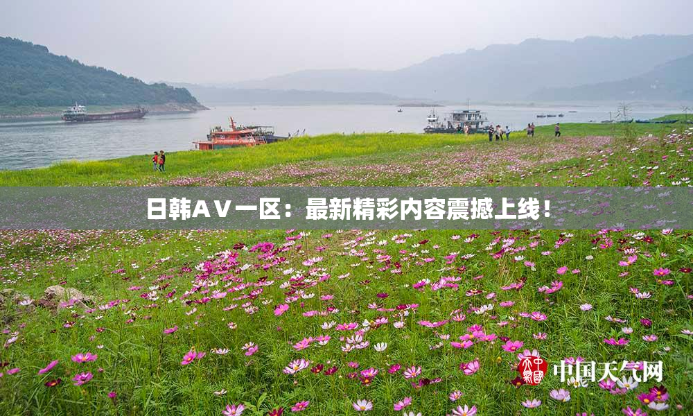 日韩AⅤ一区：最新精彩内容震撼上线！