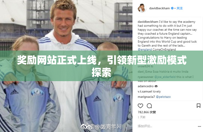 奖励网站正式上线，引领新型激励模式探索