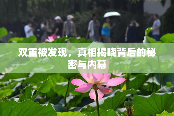 双重被发现，真相揭晓背后的秘密与内幕