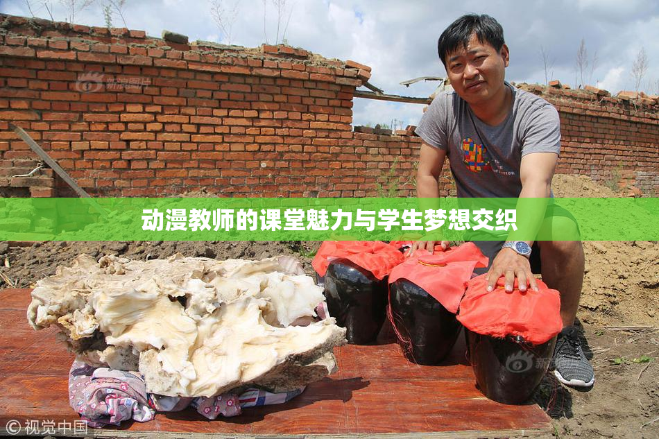 动漫教师的课堂魅力与学生梦想交织