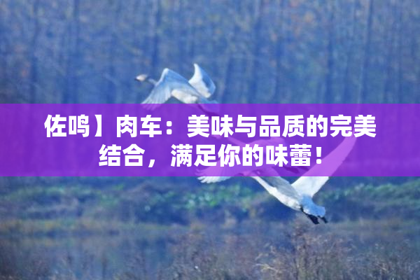 佐鸣】肉车：美味与品质的完美结合，满足你的味蕾！