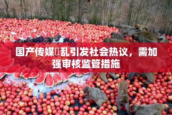 国产传媒婬乱引发社会热议，需加强审核监管措施