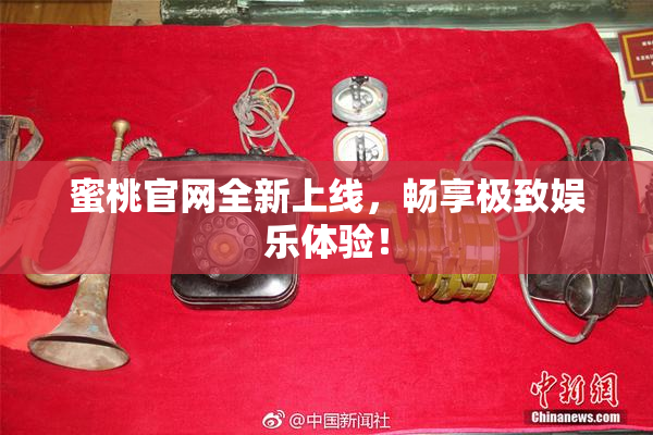 蜜桃官网全新上线，畅享极致娱乐体验！
