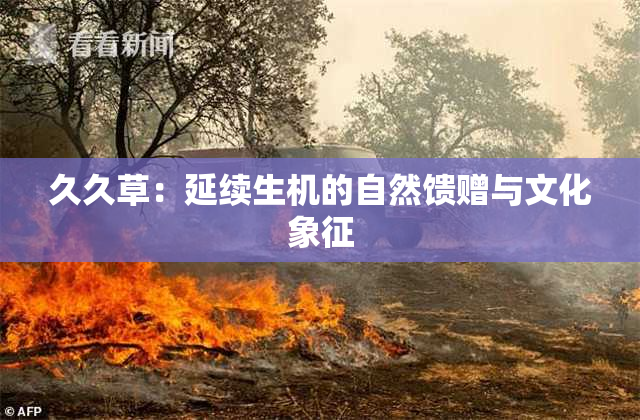 久久草：延续生机的自然馈赠与文化象征