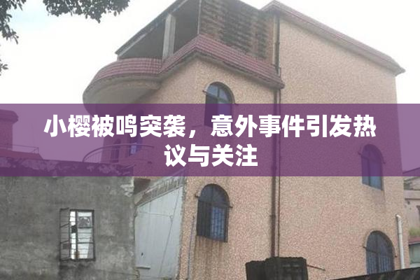 小樱被鸣突袭，意外事件引发热议与关注