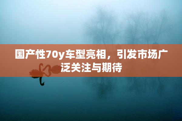 国产性70y车型亮相，引发市场广泛关注与期待