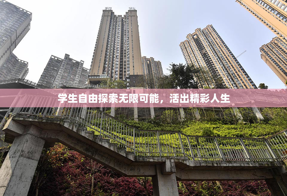 学生自由探索无限可能，活出精彩人生