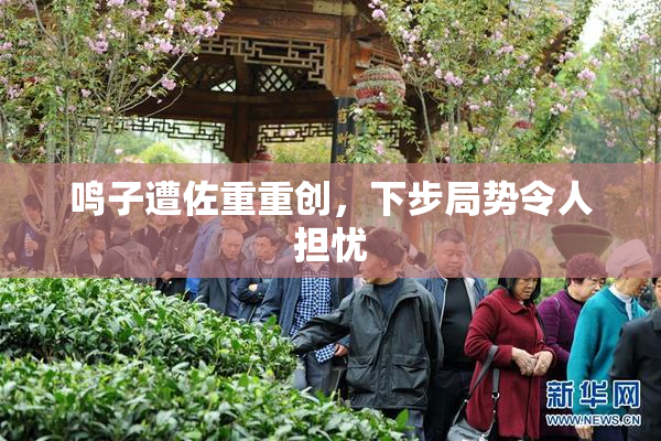 鸣子遭佐重重创，下步局势令人担忧